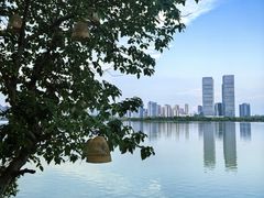 -艾溪湖湿地公园