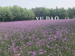 -渔岛海洋度假区