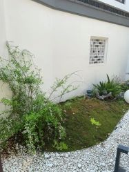 -AGE LOCK 锁龄美肌