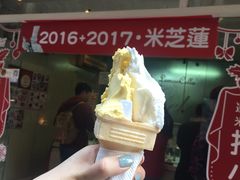 -柠檬车露(卖草地店)