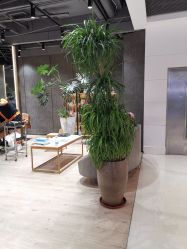 -BENSON沙龙