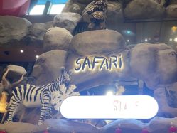 点击看大图 -卡通尼·Safari非洲探索乐园·生日会(金桥国际商业广场店)