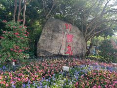 -野狸岛