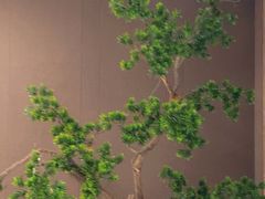 -香港狮子山下·明星粤菜餐厅(北苑店)