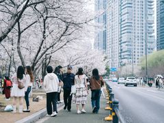 -西北湖绿化广场