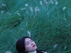 -白鹭湾湿地公园