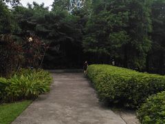 -晓港公园