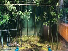 -春记潮汕牛肉火锅