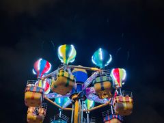 -锦江乐园舞狸花花游园会(夜场专享)