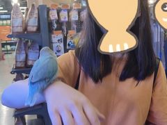 -宠物世家(仲盛世界商城店)