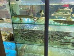 -胖姐渔村(中源大道店)