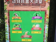-广州长隆飞鸟乐园