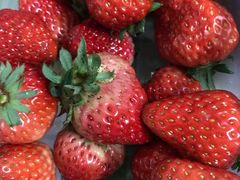 -百果园PAGODA(应元路店)