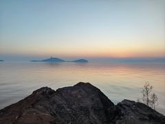 -上海市保健医疗中心