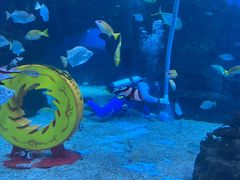 -海合安成都极地海洋公园