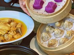 -望乡楼上海菜(日月光店)