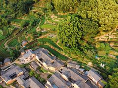 -杨家堂村