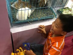 -东浩兰生上海世博展览馆