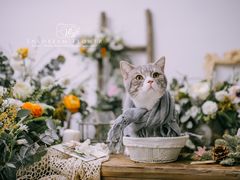 -INSDREAM FLOWER 鲜花预定·花艺培训