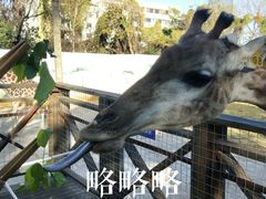 -昆明动物园