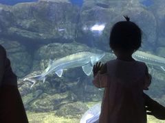 -南昌融创海世界