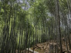 -黄山翡翠谷景区