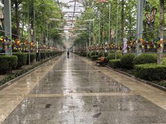 -南宫五洲植物乐园