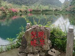 -靖西鹅泉风景区
