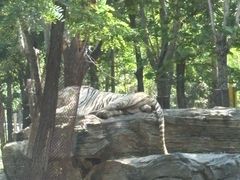 -秦皇岛野生动物园