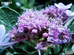 -苏州河梦清园环保主题公园