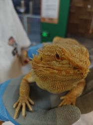 -神奇动物撸宠馆·羊驼·小浣熊·异宠(豫园店)