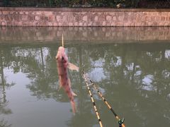 -宏泰园蔬果专业合作社