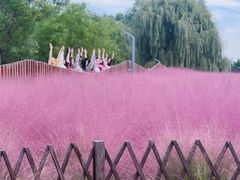 -羊亭河湿地公园