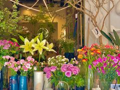 -PlantsEatery·植物食堂(REX春熙店)