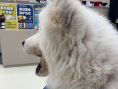 -御宝贝24h宠物医院·转诊中心·CT核磁血透中心(厦门总院)