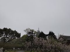 -苏州吴宫泛太平洋酒店