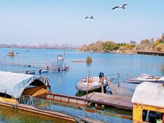 -西昌邛海湿地