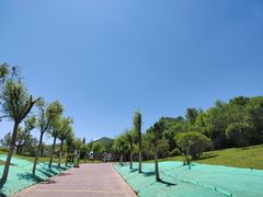 -青藏高原野生动物园