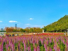 -顺峰山公园