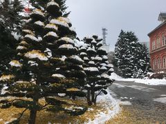 景点-北海道厅旧本厅舍(旧本庁舎)