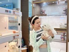 -翊宠yipet猫狗购宠庄园犬舍•猫舍