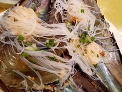 -鸿达渔港