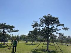-太平河公园