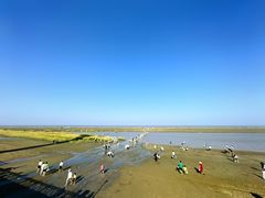 -启东黄金海滩景区