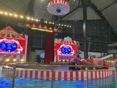-无锡动物园·太湖欢乐园