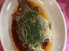 -侠成水上农庄(工业大道店)