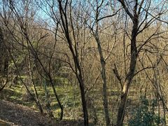 -盘龙城国家考古遗址公园