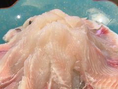 花雕鱼片-蜀大侠火锅(香格里拉店)