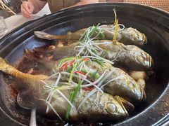 -有喜胶东小馆(太申祥和店)