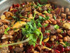 -食神又名厕所兔